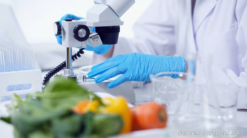 生物技术研发：开启未来之门